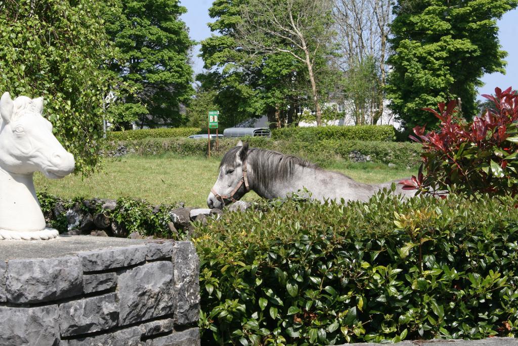 Carrowntober House B & B オーターアード エクステリア 写真